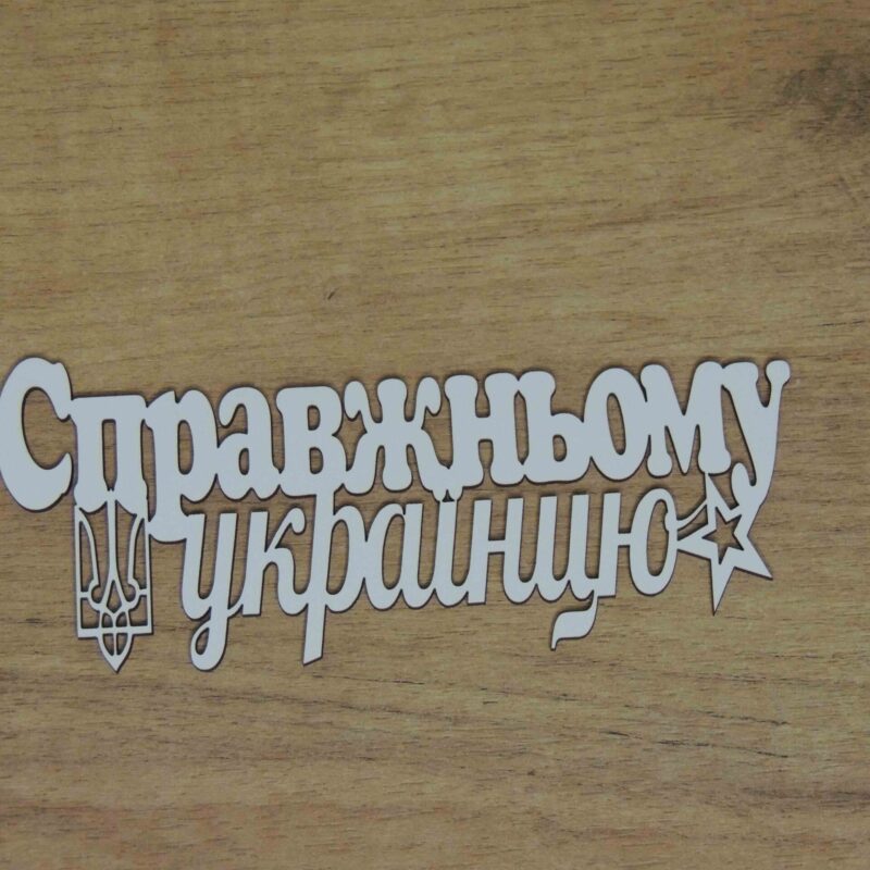 00504 1.jpg